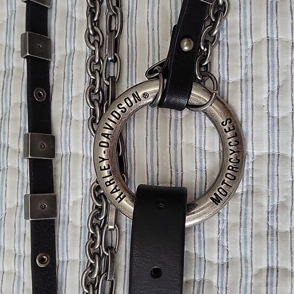 Harley-Davidson Willie G Hip Belt - Picture 6 of 12